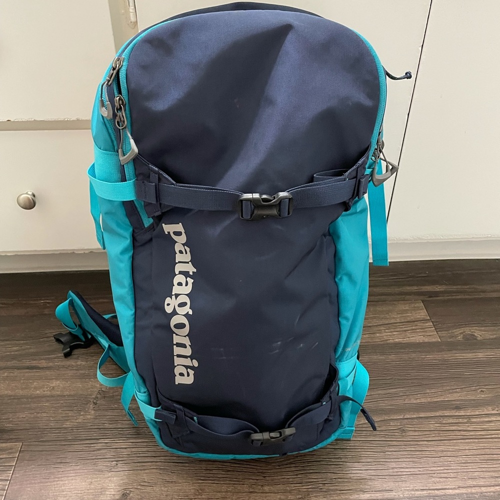 Patagonia Hiking/snow bag